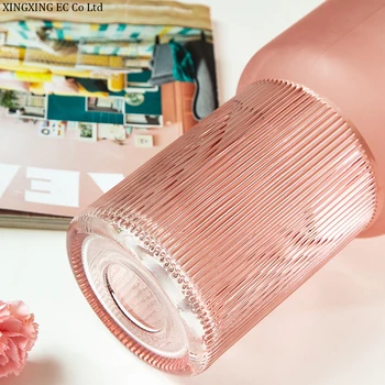 Pink Mat Tekstur Glas Vase Moderne Minimalistisk Kreative Cylindriske Hydroponiske Blomst Arrangement Tilbehør Til Boligindretning